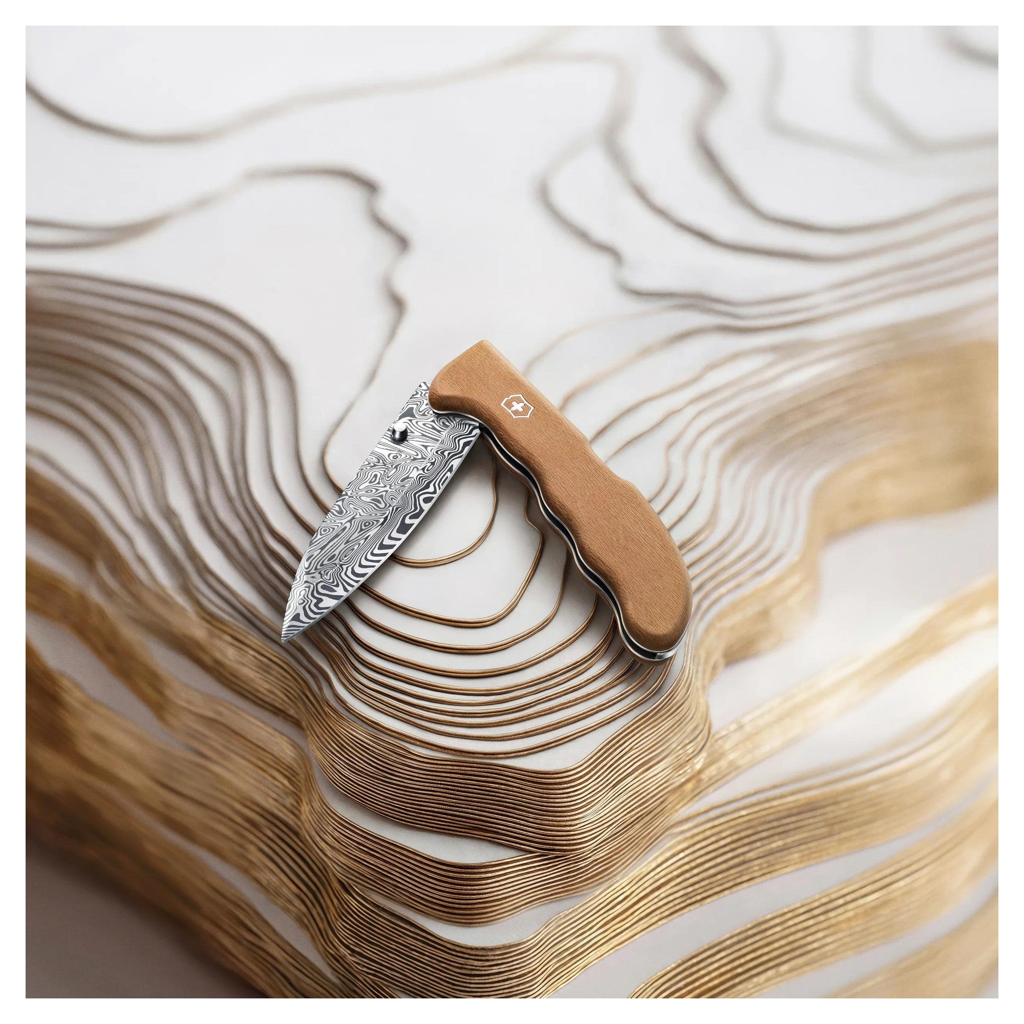 Victorinox Evoke Wood Damast Limited Edition 2026