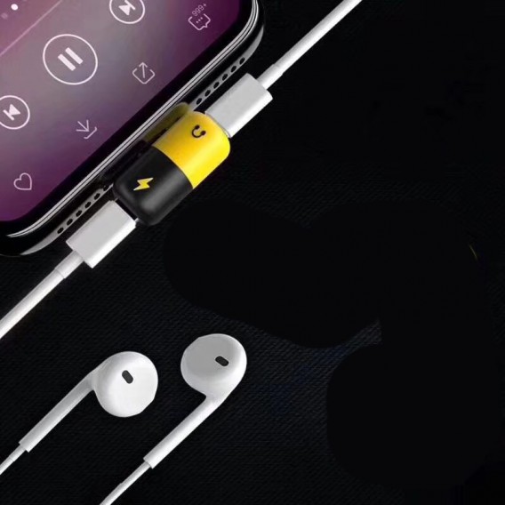 2in1 Adapter für Musik und Laden iPhone