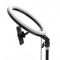 Baseus Fotolampe Ringblitz ring flash fill light Licht füllen LED 12'' (YouTube, TikTok)