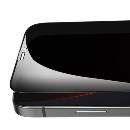 Privacy Anti Spy 9H Panzerglas Tempered Folie iPhone 12 Pro Max