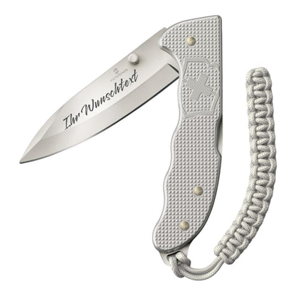 Victorinox Evoke Silber - Stilvolles Multitool mit Gratis Gravur 0.9415.D221