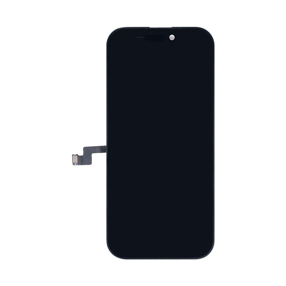 Für iPhone 16 Pro Display entfernt