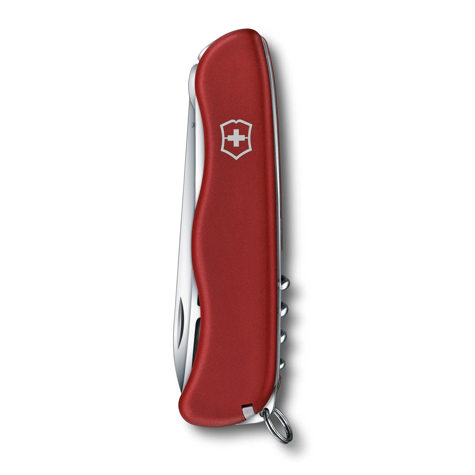 Victorinox Cheese Master mit Gravur