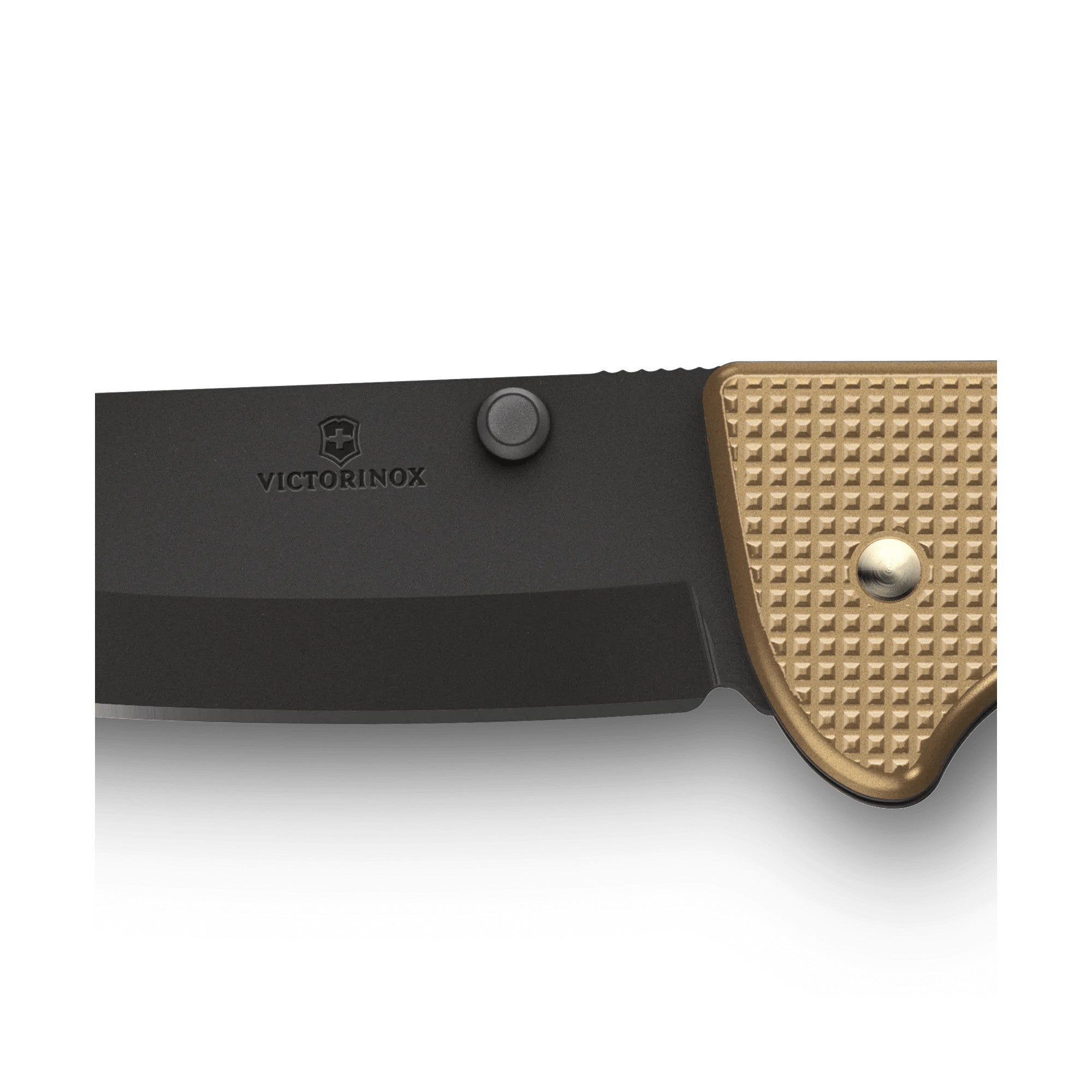 Victorinox Evoke BS Alox
