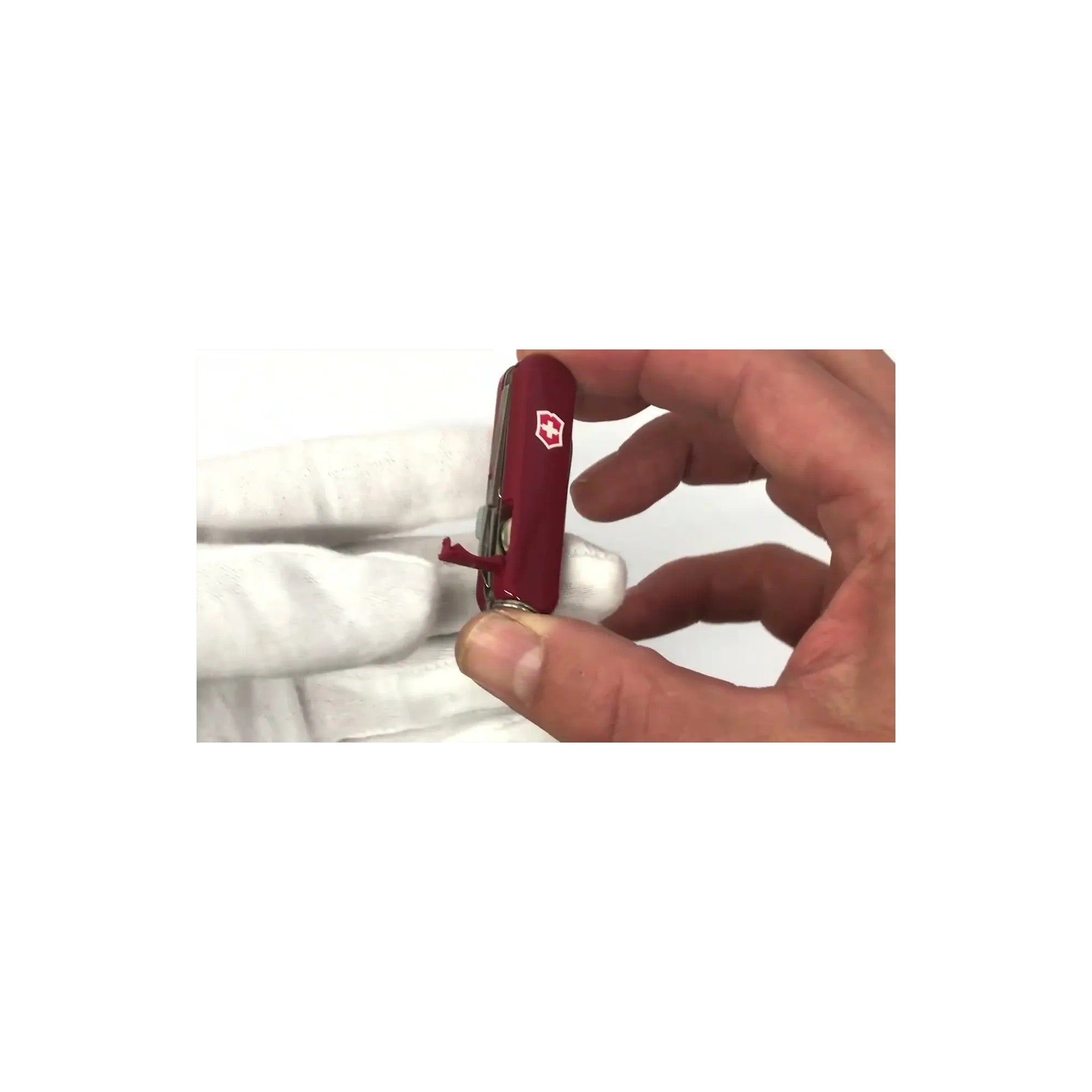 Victorinox Signature Lite mit Gravur